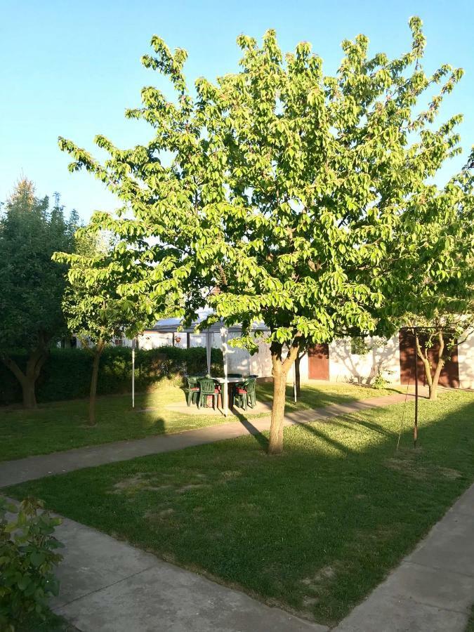 Apartmani Matosevic Ivankovo Buitenkant foto